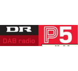 Radijas internetu Dr p5